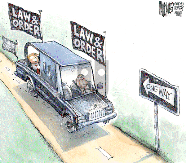 Matt Davies on Tuesday June 23, 2020 Comic Strip
