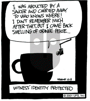 Reality Check on Monday October 8, 2001 Comic Strip
