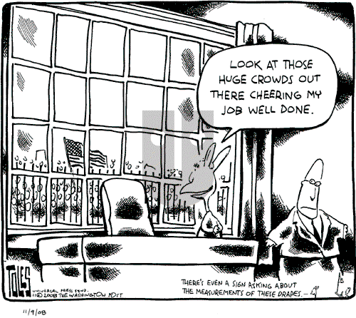 Tom Toles - Sunday November 9, 2008 Comic Strip