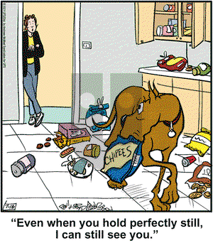 Marmaduke on Friday July 16, 2021 Comic Strip