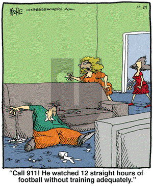 In the Bleachers on Friday December 29, 2006 Comic Strip