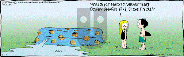 Adam@Home - Wednesday August 13, 2008 Comic Strip