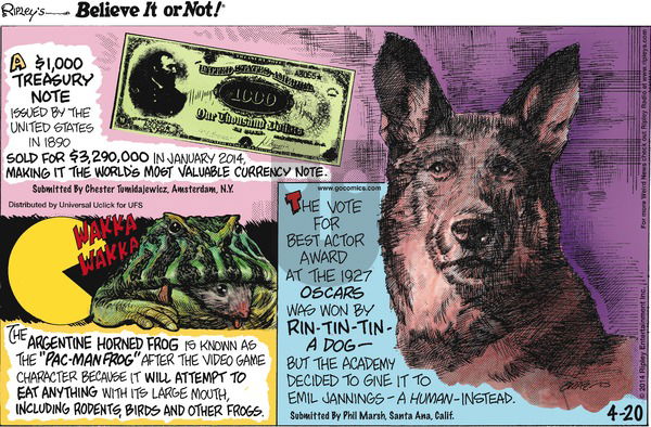 Ripley's Believe It or Not on Sunday April 20, 2014 Comic Strip