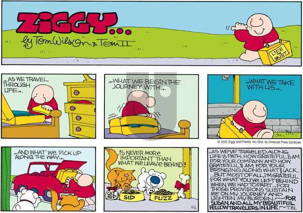 Ziggy on Sunday December 1, 2002 Comic Strip