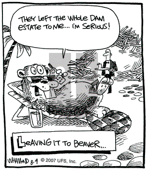 Reality Check on Saturday August 4, 2007 Comic Strip