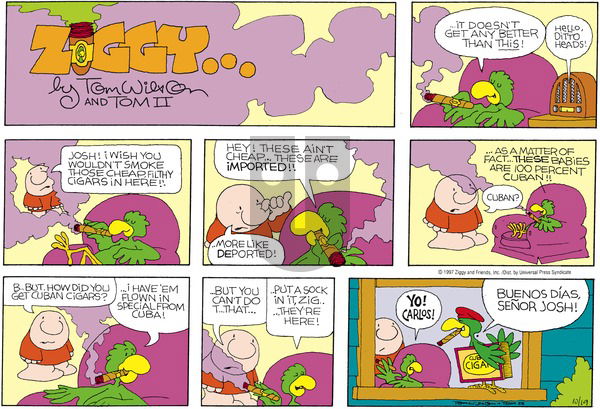 Ziggy on Sunday October 19, 1997 Comic Strip