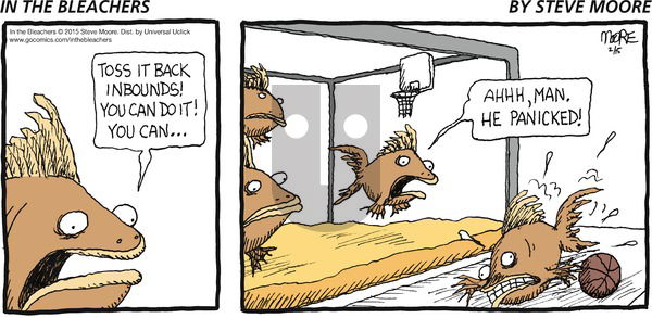 In the Bleachers on Sunday February 15, 2015 Comic Strip