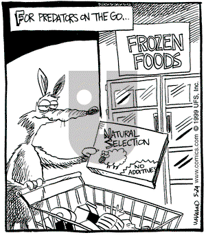 Reality Check on Monday May 24, 1999 Comic Strip