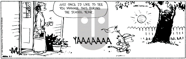 Calvin and Hobbes - Monday August 7, 1995 Comic Strip