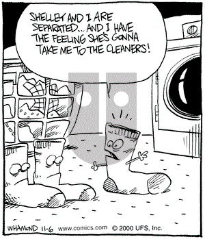 Reality Check on Monday November 6, 2000 Comic Strip