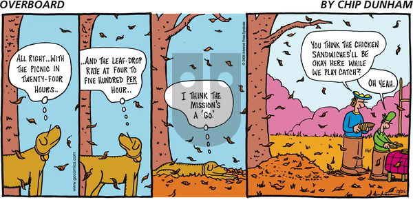 Overboard on Sunday October 26, 2008 Comic Strip