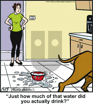 Marmaduke on Thursday March 27, 2025 Comic Strip