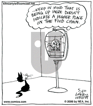 Kit 'N' Carlyle on Monday May 22, 2006 Comic Strip