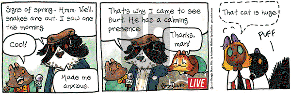 Breaking Cat News on Friday May 3, 2019 Comic Strip