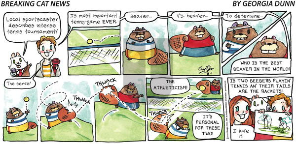 Breaking Cat News on Sunday November 1, 2020 Comic Strip