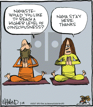 Reality Check on Saturday January 14, 2017 Comic Strip
