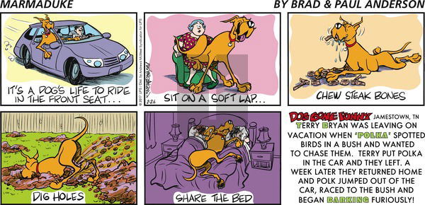 Marmaduke on Sunday February 26, 2017 Comic Strip