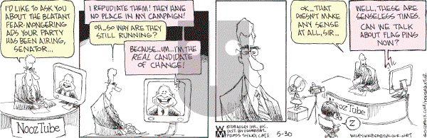 Non Sequitur - Friday May 30, 2008 Comic Strip