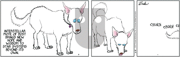 9 Chickweed Lane on Saturday June 10, 2017 Comic Strip