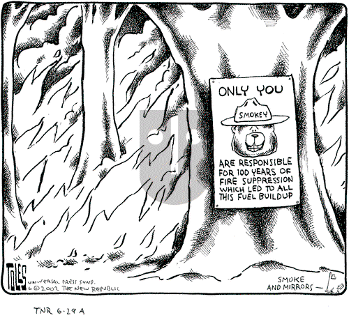 Tom Toles on Saturday June 29, 2002 Comic Strip