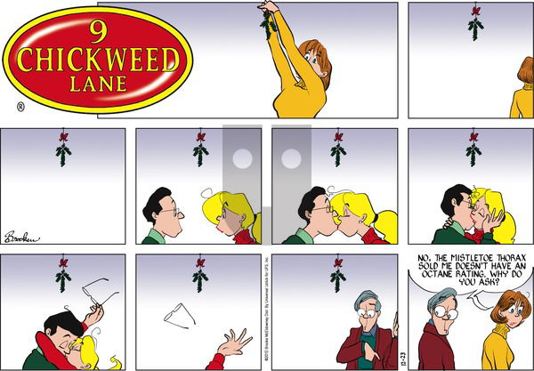 9 Chickweed Lane on Sunday December 23, 2012 Comic Strip