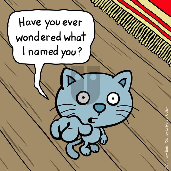 Cattitude — Doggonit on Sunday February 16, 2025 Comic Strip