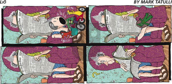 Lio on Sunday April 6, 2008 Comic Strip