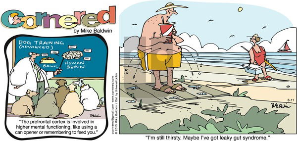 Cornered on Sunday August 11, 2013 Comic Strip