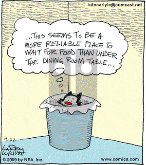 Kit 'N' Carlyle on Tuesday September 22, 2009 Comic Strip