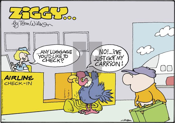 Ziggy on Sunday July 14, 2019 Comic Strip
