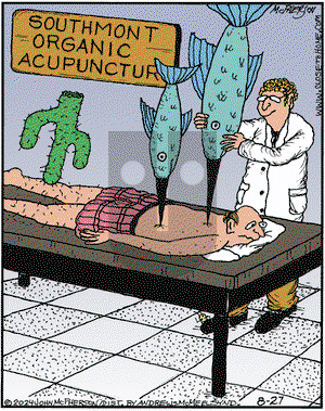 Close to Home on Tuesday August 27, 2024 Comic Strip