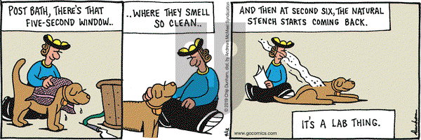 Overboard on Friday April 12, 2019 Comic Strip