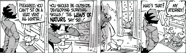 Rose is Rose on Saturday January 25, 2003 Comic Strip