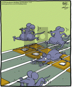 In the Bleachers on Friday November 2, 2018 Comic Strip