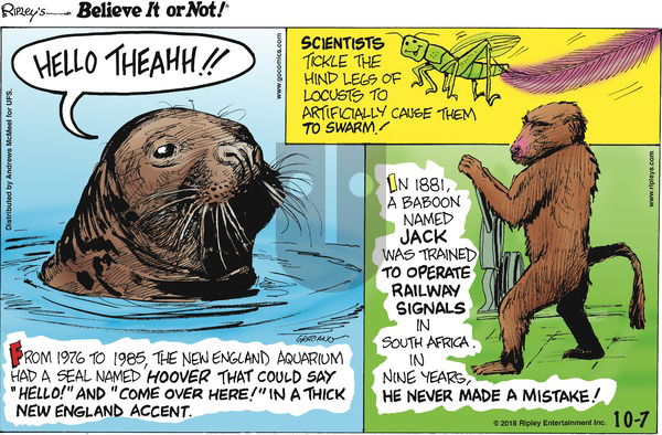 Ripley's Believe It or Not on Sunday October 7, 2018 Comic Strip