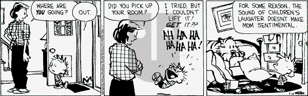 Calvin and Hobbes - Saturday July 10, 1993 Comic Strip