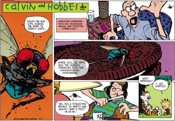 Calvin and Hobbes on Sunday June 14, 1992 Comic Strip