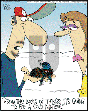 The Flying McCoys on Saturday November 10, 2018 Comic Strip