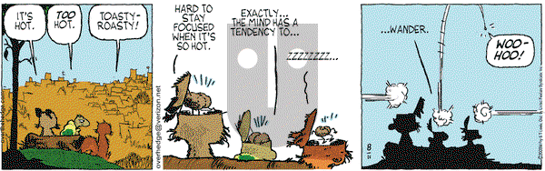 Over the Hedge - Monday August 11, 2008 Comic Strip