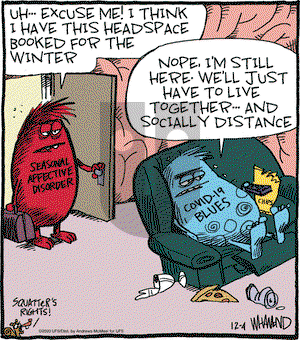 Reality Check on Friday December 4, 2020 Comic Strip