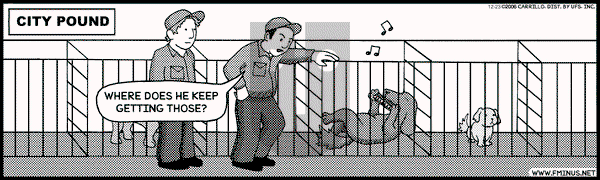 F Minus on Saturday December 23, 2006 Comic Strip