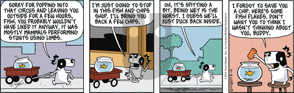 Pooch Cafe - Wednesday August 14, 2024 Comic Strip