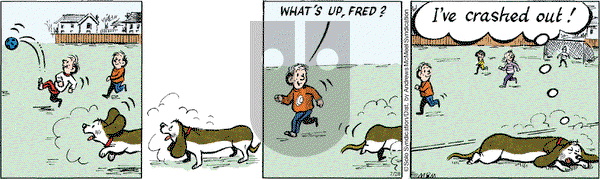 Fred Basset on Wednesday July 28, 2021 Comic Strip