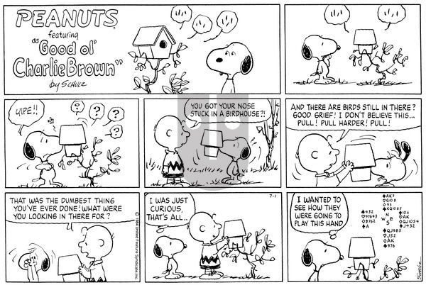 Peanuts on Sunday July 1, 1984 Comic Strip