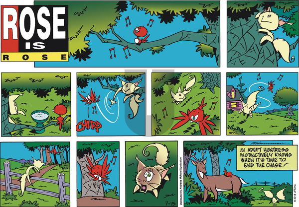 Rose is Rose on Sunday July 15, 2018 Comic Strip