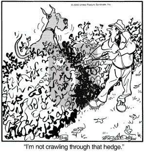 Marmaduke on Wednesday October 18, 2000 Comic Strip