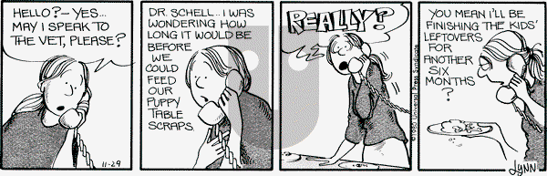 For Better or For Worse on Saturday November 29, 1980 Comic Strip