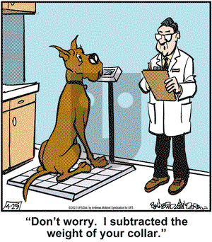 Marmaduke on Monday April 25, 2022 Comic Strip