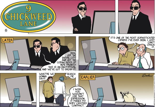 9 Chickweed Lane on Sunday January 6, 2019 Comic Strip