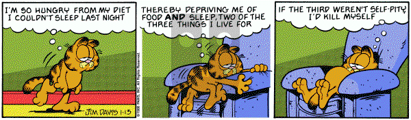 Garfield on Wednesday January 13, 1988 Comic Strip